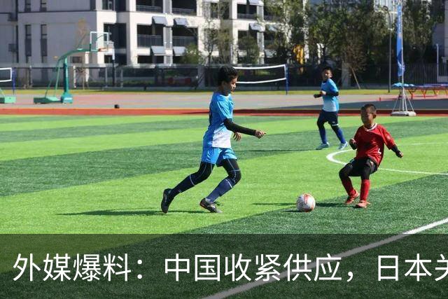 外媒爆料：中国收紧供应，日本关键稀土“仅能维持数月，要考虑的是如何熬过明年”