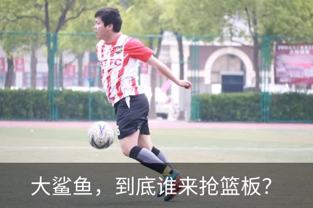 大鲨鱼，到底谁来抢篮板？