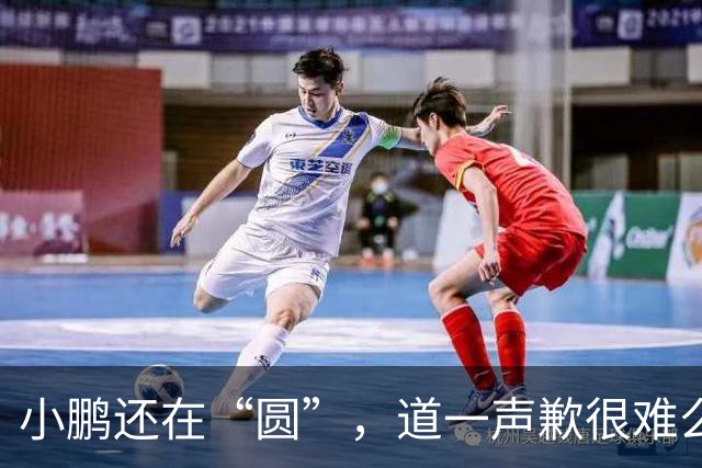 小鹏还在“圆”，道一声歉很难么