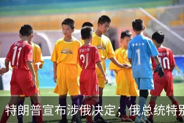 特朗普宣布涉俄决定；俄总统特别代表表态：这重要且有历史意义