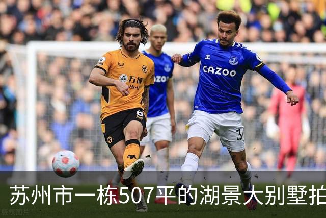 苏州市一栋507平的湖景大别墅拍卖，被人370万元拿下了